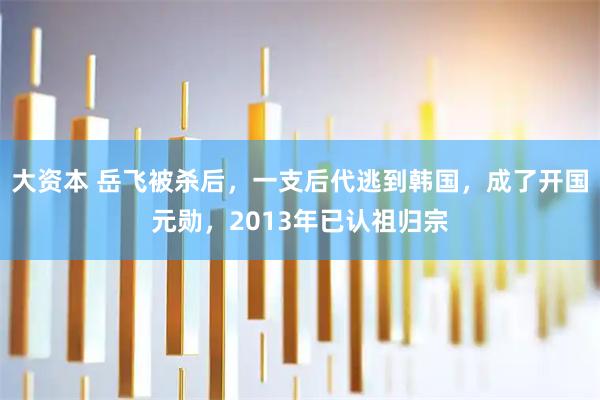 大资本 岳飞被杀后，一支后代逃到韩国，成了开国元勋，2013年已认祖归宗