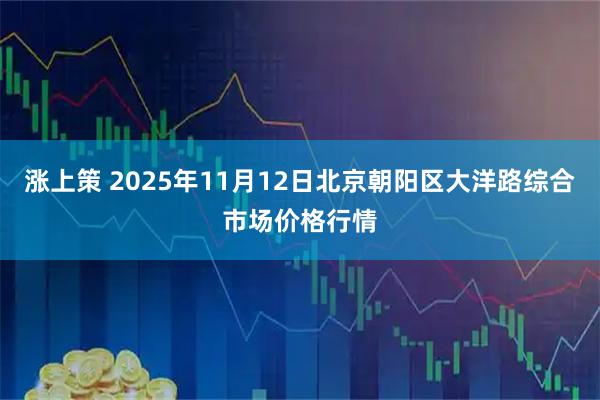 涨上策 2025年11月12日北京朝阳区大洋路综合市场价格行情