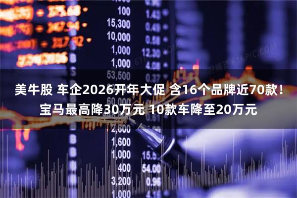 美牛股 车企2026开年大促 含16个品牌近70款!宝马最高降30万元 10款车降至20万元