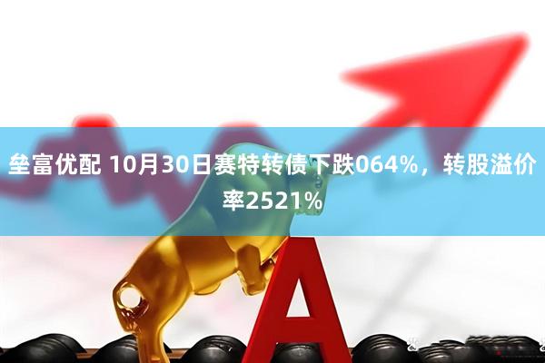 垒富优配 10月30日赛特转债下跌064%，转股溢价率2521%