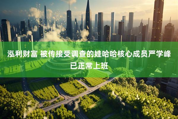 泓利财富 被传接受调查的娃哈哈核心成员严学峰已正常上班